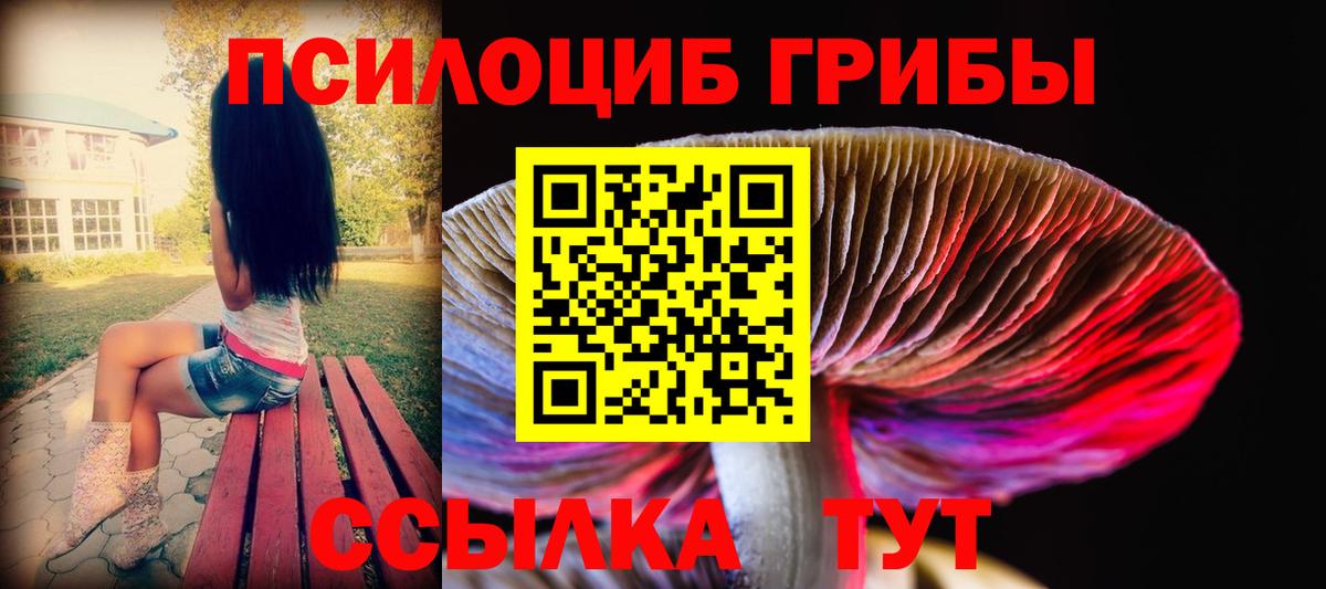 Галлюциногенные грибы прущие грибы Ачинск